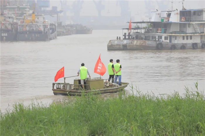 江蘇江陰：“十年綠”換來“一江清”，長江大保護(hù)的十年答卷