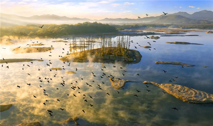 江蘇無錫：湖岸同治 流域共治，讓湖光山色永綻芳華