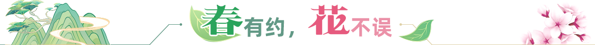 春有約，花不誤