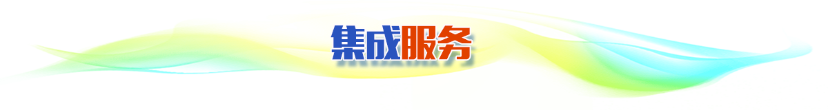 集成服務(wù)