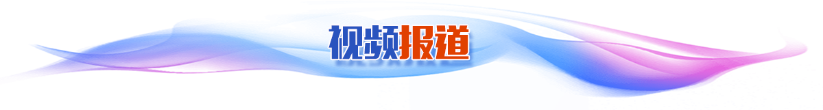 視頻報道